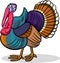 Turkey farm bird animal cartoon illustration