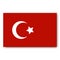 Turkey flag vector. Turkish badge. The symbol of Istanbul. Star and moon as symbols of the Muslim state