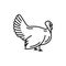 Turkey or grouse fowl bird isolated vector icon