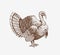 Turkey hand drawn illustration in engraving or woodcut style. Gobbler meat and eggs vintage produce elements. Badges and