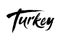 Turkey hand drawn lettering isolated on the white background. Hand drawn brush calligraphic element for your design.