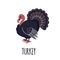 Turkey icon in flat style.