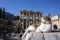 Turkey Izmir Ephesus Ancient City and cat