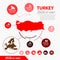 Turkey map and flag - highly detailed vector infographic illustration