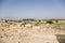 Turkey, Pamukkale. Ruins in the necropolis of Hierapolis