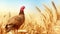 a turkey is standing in a field of wheat