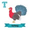 Turkey. T letter. Cute children animal alphabet in vector. Funny