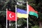 Turkey, Ukraine, Belarus flags