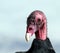 Turkey Vulture or Turkey Buzzard