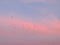 Turkey Vultures Cathartes aura aves Cathartidae Buzzards Soaring at Sunset near St George Utah in South Western Desert USA