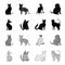 Turkish Angora, British longhair and other species. Cat breeds set collection icons in black,monochrome style vector