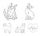 Turkish Angora, British longhair and other species. Cat breeds set collection icons in outline style vector symbol stock