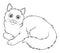 Turkish Angora Cat Cartoon Animal Illustration BW