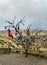 Turkish flag next to the wish tree on a viewing platform in Nevsehir, Cappadocia