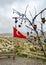 Turkish flag next to the wish tree on a viewing platform in Nevsehir, Cappadocia