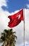 Turkish flag waving in wind, palm tree and blue sky with clouds