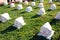 Turkish Military Cemetery