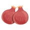 Turkish pomegranate icon, cartoon style