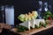 Turkish Raki with water on table with sliced melon and appetizer, traditional Turkish alcohol known as Raki, chill with