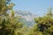 Turkish Taurus Mountains and pine tree branches in summer