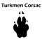 Turkmen Corsac Footprint