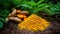 Turmeric with Finely dry powder and green leaves isolated on white background