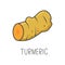 Turmeric line vector illustration, cooking isolated icon.