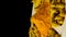 Turmeric powder and dried turmeric root in motion. Vertical shooting on a black background