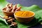 Turmeric powder and fresh turmeric (Curcuma, curcumin)