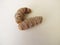 Turmeric rhizomes on a wooden board