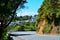 Turn of a mountain road in hilly suburbs of Wellington, New Zealand. Cozy villa houses deep in lush green