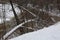 Turn of the river in a snowy winter forest