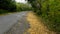 The turn of the road autumn woods the fallen leaves along the roadside.