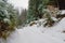 Turn of road on hill in dense coniferous snowy forest in wild