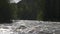 The turn of a stormy river flowing past the shore with pine trees