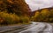 Turnaround on wet road through forest in autumn