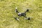 Turned on drone in the grass prepares for flight, for takeoff