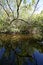 Turner River in Big Cypress National Preserve, Florida.