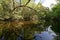 Turner River in Big Cypress National Preserve, Florida.