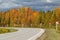 Turning the asphalt road. Autumn landscape, road signs, gloomy sky.