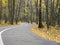 Turning asphalt road entering autumn park from surface view