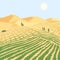 Turning the desert into a successful cattle farm. Equipped beds on the sand in arid climates