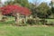 Turning Leaves and Rusted Farm Equipment In Autumn