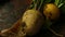 Turnip with haulm on the black rustic background
