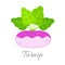 Turnip icon with title