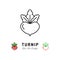 Turnip icon Vegetables logo. Thin line art design