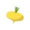 Turnip isolated. Yellow vegetables on white background. vegetarian Food