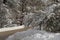 Turnout Sign in the Snow on Mount Laguna