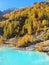 A turquoise alpine glacial lake surrounded bt a larch forest and snowy mountains in the autumn