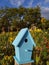 Turquoise, aqua bird house in field of sunflowers